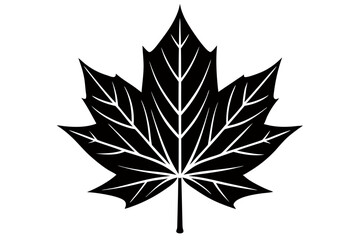 creative  a maple  leaf line art design with a white background 