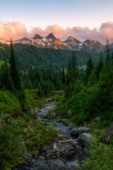 Mt. Rainier National Park, Washington
