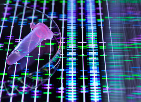 DNA sample kept over genetic data on screen