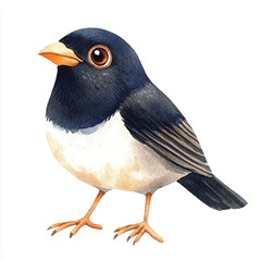 cute Myna watercolor clipart illustration isolated