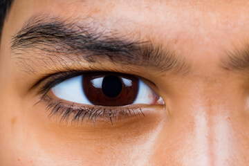 Obraz premium Close up of a brown and white man with brown eyes. Portrait face young concept. Close up of a young boy with bright brown eyes and iris in the. Close up of a brown and bright iris on a white.
