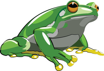 Vector image of a green frog ready to jump