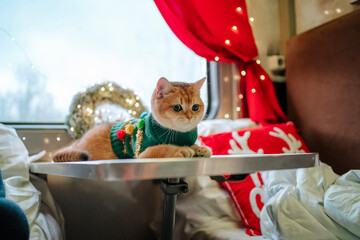 Ginger cat sitting in train decorated for Christmas