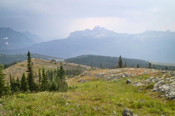 swiftcurrent pass trail from mant glacier hotel to the loop at Glacier national park, Montana, USA.