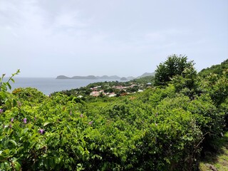 Aerial view above Terre de Bas island and village in Les Saintes Archipelago, french west indies....