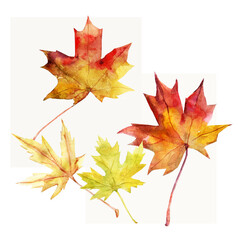 Autumn Leaves Pattern. Motives on white and color background.