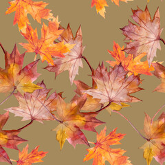 Autumn Leaves Pattern seamless. Motives on white and color background.