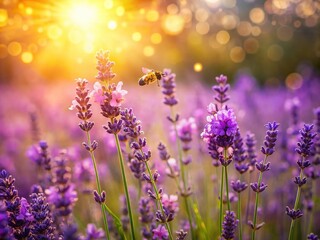 Naklejka premium Beautiful Bokeh Effect of Lavender Flowers in Bloom Capturing Nature's Serenity and Vibrant Colors for Floral Enthusiasts and Garden Lovers