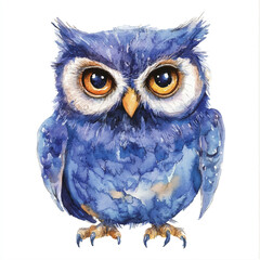 cute Owl watercolor clipart illustration isolated