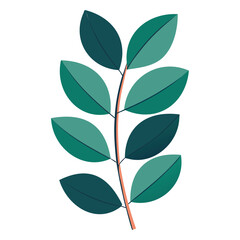 eucalyptus leaf vector art for botanical and nature designs