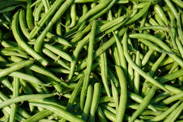 Fresh green beans close up in the vegetable store