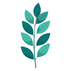 eucalyptus leaf vector art for botanical and nature designs