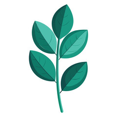 eucalyptus leaf vector art for botanical and nature designs