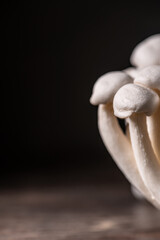Closeup of a bunch of shimeji mushrooms on dark background, with selective focus