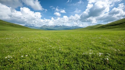 Fototapeta premium Scenic mountain landscape with green meadow and cloudy sky