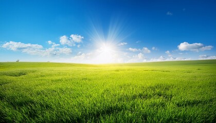 Fototapeta premium 太陽光が降り注ぐ緑豊かな草原と透明なブルーの空。シンプルで清々しい風景が、エコでサステイナブルな未来を象徴し、自然と調和した生活を感じさせます。 