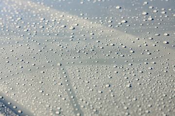 Close up of water drops on metallic surface.