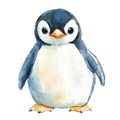 cute Penguin watercolor clipart illustration isolated