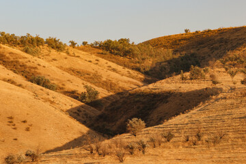 landscape in the mountains