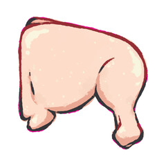 Raw chicken leg