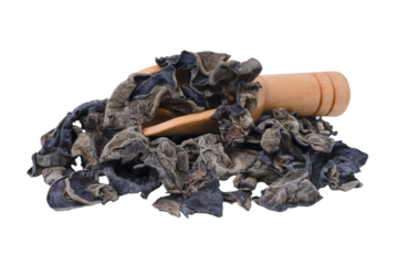 Top view black fungus or ear mushroom in wooden scoop on white background.