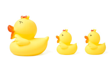 Isolated yellow rubber duck on white Background.