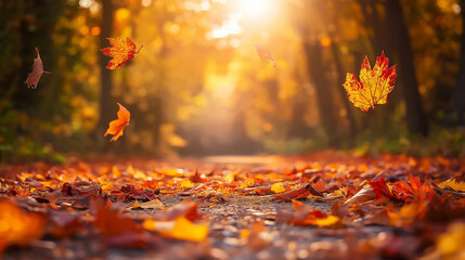 Autumn background with fallen leaves in shades of orange, red, and yellow scattered across a forest path