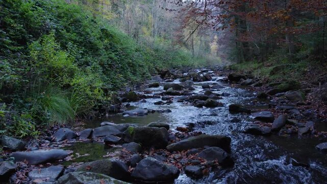 A mountain stream in an autumn forest environment, shot with a drone in low and light flight above the water, with fallen leaves from the surrounding trees on the banks.