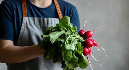 Fresh organic radishes in hand displaying homegrown harvest, farm-to-table freshness