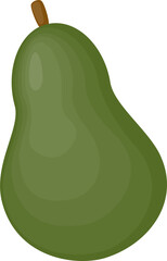 Avocado fruit slice illustration
