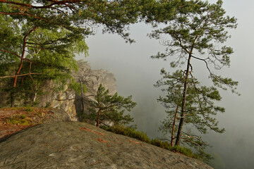 Rocky landscape with fog in autumn