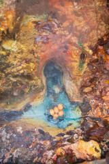 鬼首地獄谷遊歩道