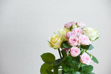 ピンクと黄色のばら