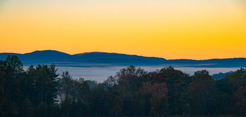 Rich golden sunrise over the Great Smoky Mountains in Cade's Cove with heavy fog behind the foreground trees and blue mountains