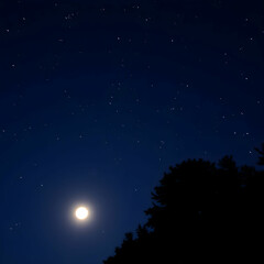 moonlit sky filled with stars above silhouetted trees on a clear night
