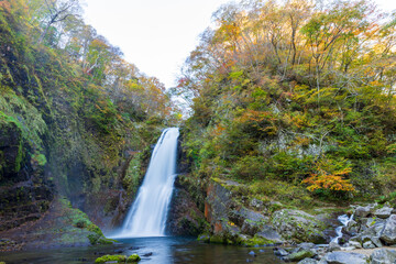紅葉の秋保大滝