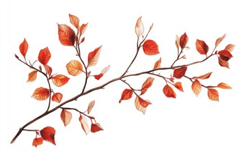 Fototapeta premium A branch with vibrant red and orange leaves, perfect for autumn-themed designs or nature-inspired projects