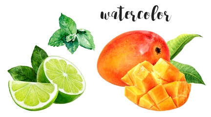 Hand-Painted Watercolor Mango, Lime, and Mint Botanical Illustration