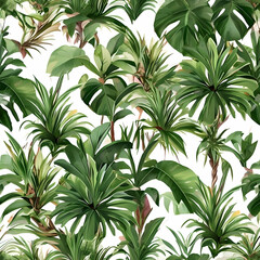 tropical plants backgrounds vegetation outdoors