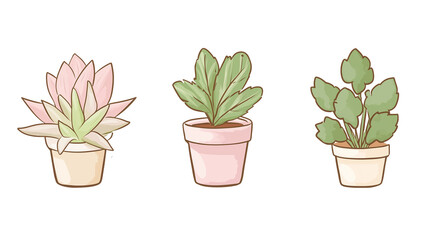Obraz premium Potted houseplants in pastel-colored pots with varying green and pink leaves, isolated
