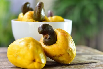 O caju é muitas vezes tido como o fruto do cajueiro (Anacardium occidentale) quando, na verdade,...