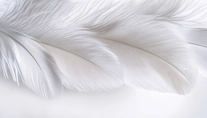 Fototapeta premium Delicate white feathers cascading on a smooth, luminous white background, evoking tranquility and serenity. Can be used for relaxation and mindfulness content.