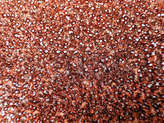 The rust on the lid of the biscuit tin looks close. Background, wallpapers.