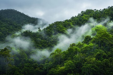 Lush green mountains shrouded in mist, evoking a serene and tranquil atmosphere.