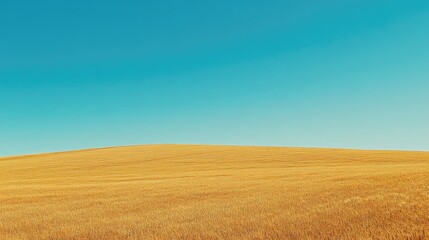 A single tree standing tall amidst a sea of golden grass, perfect for nature or landscape-themed projects