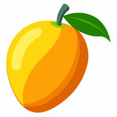 illustration of an mango fruit