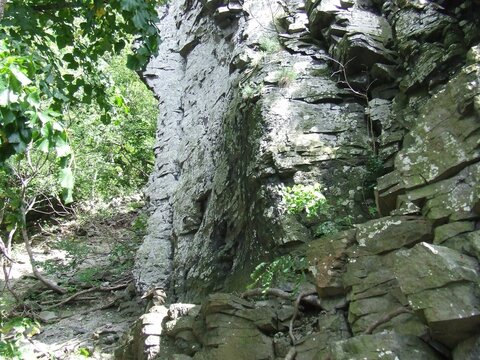 Exploring a rugged rock formation surrounded by lush greenery in a forested area on a sunny day