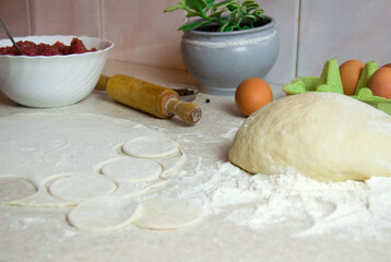 Making dumpling. Rolling dough with rolling pin.Jiaozi preparation.