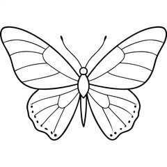 Gray Hairstreak butterfly vector illustrations on a white background.