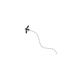 Mosquitoes flying on a dotted route